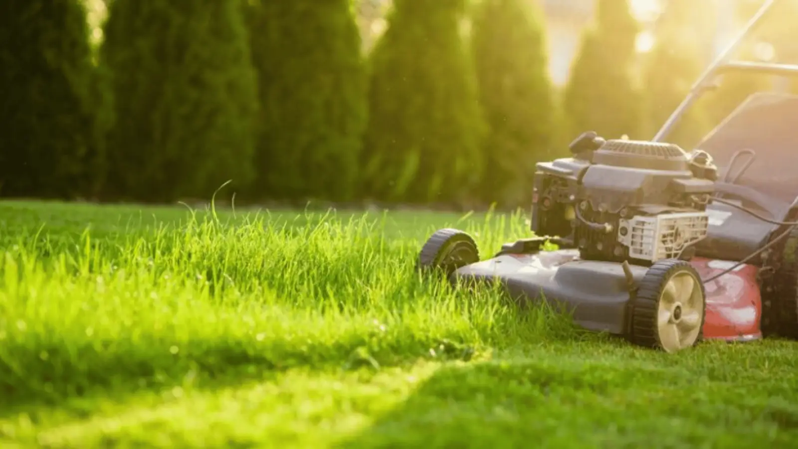 MDA Services — lawn care in Alpine